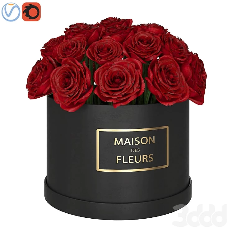 Red Roses in Box