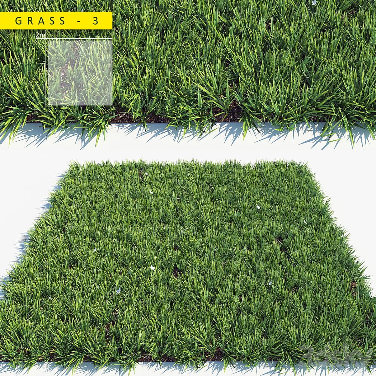 Grass 3