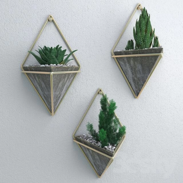 لينك كانال ‏