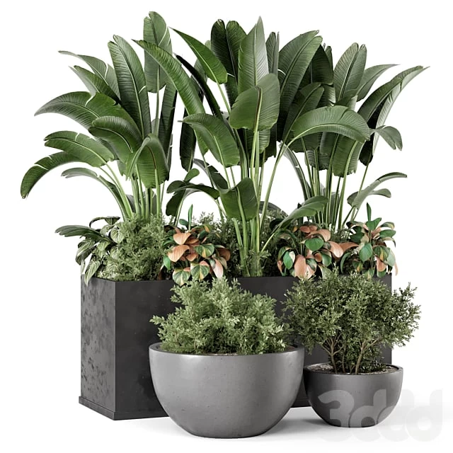 Outdoor Garden set Bush and Tree - Garden Set 1144
