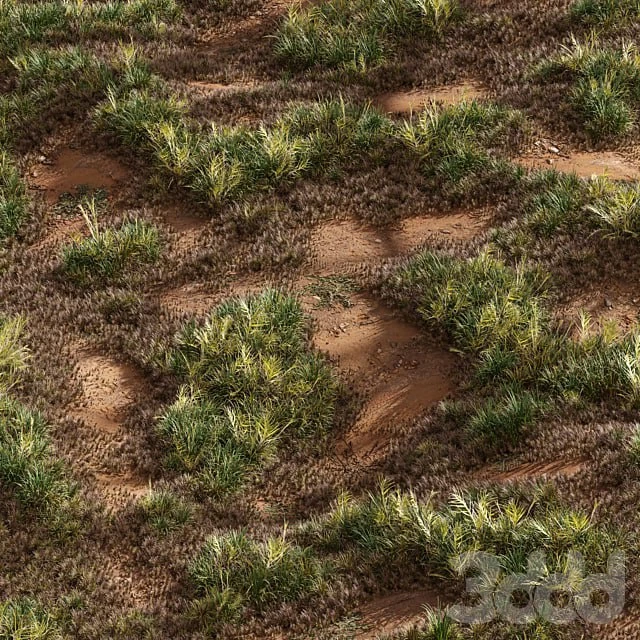 Meadow Lawn Grassland Set 003