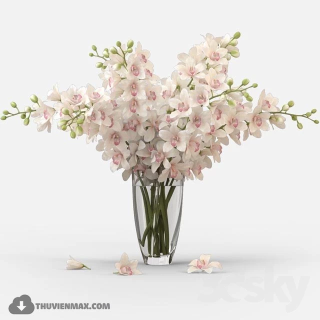 Bouquet of orchids