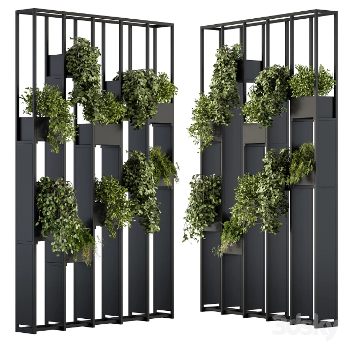Green Wall - Plants partition 02