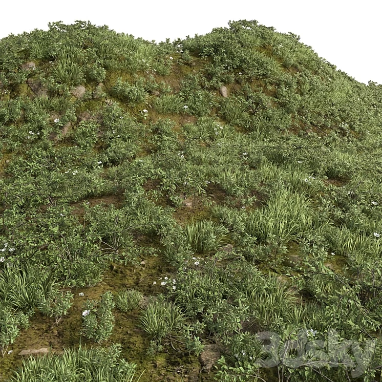 GRASS COLLECTION FOR LANDSCAPE No. 12