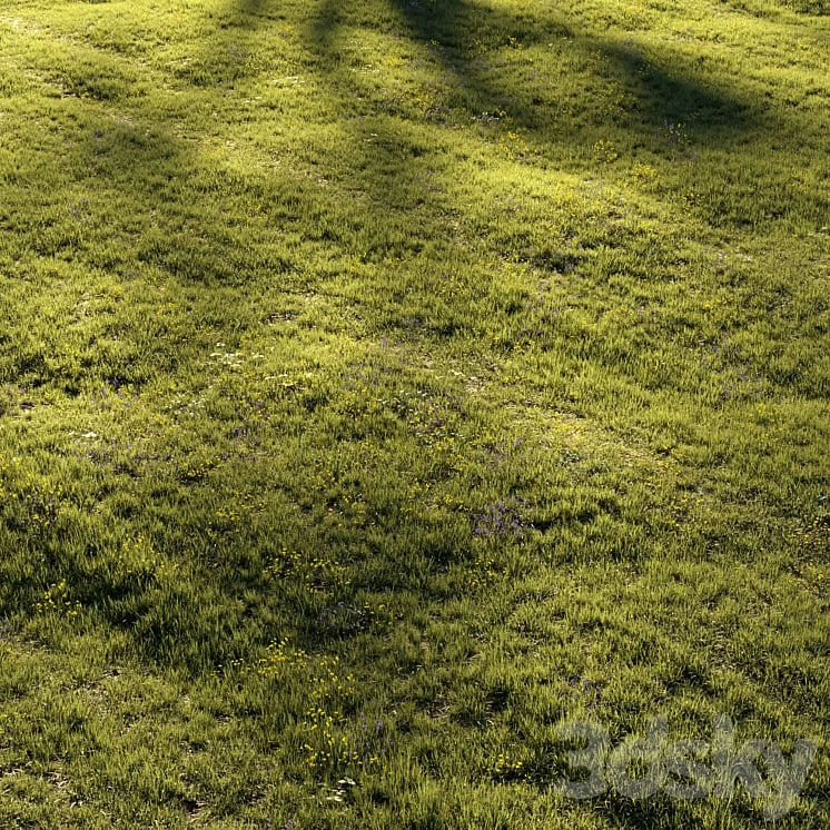 Grass and Flower