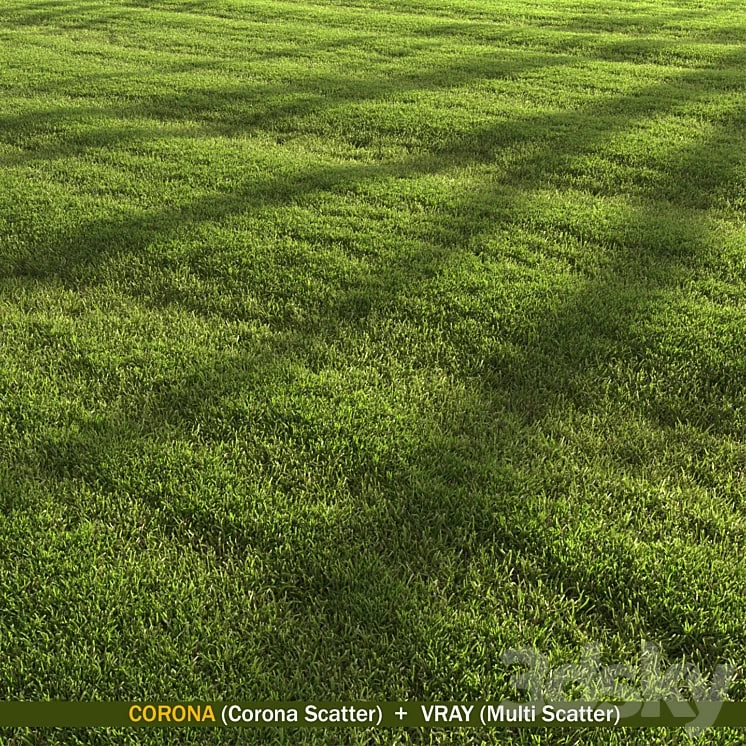 Lawn Landscape