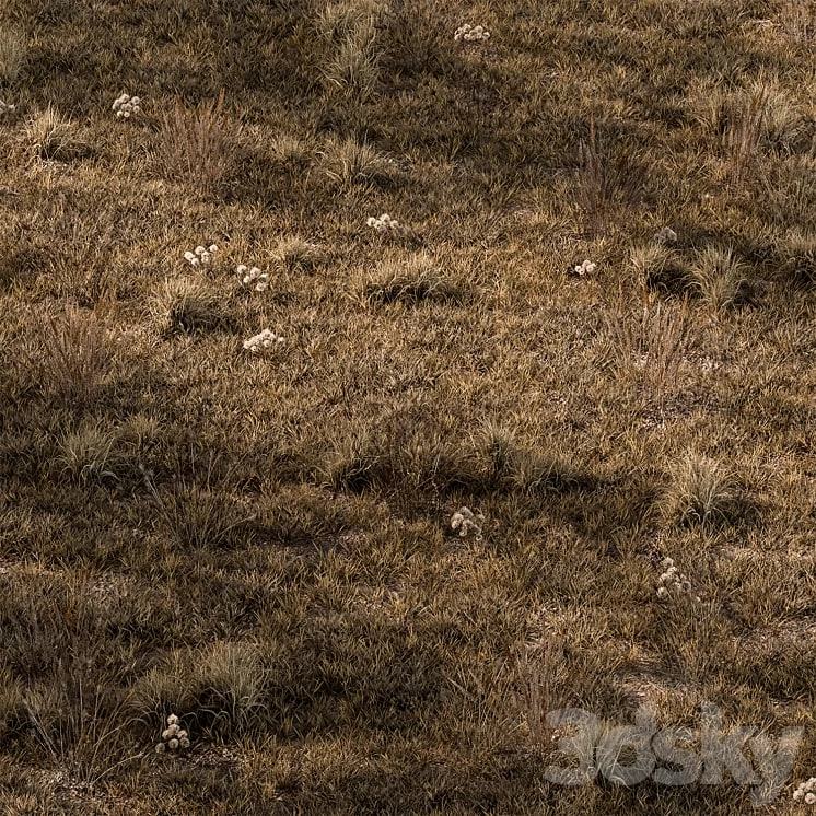 Dry Grass Set 16