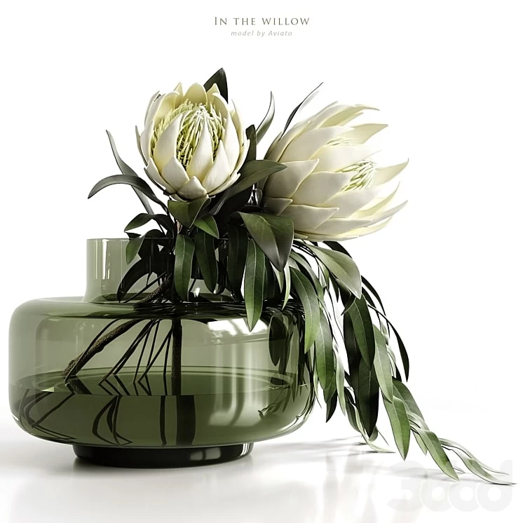 In the Willow