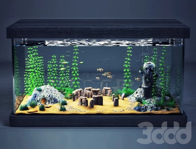 Aquarium
