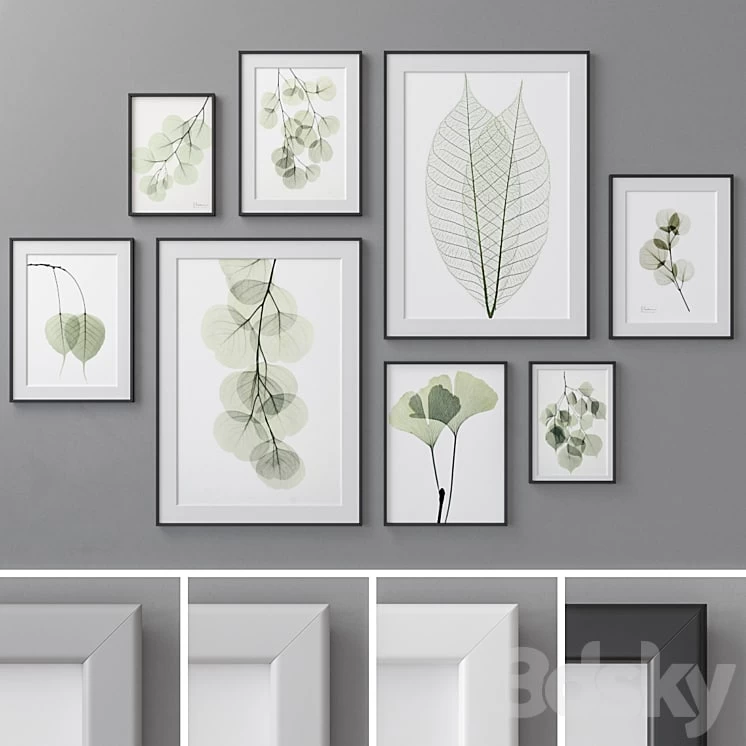Photo Frames Set 462