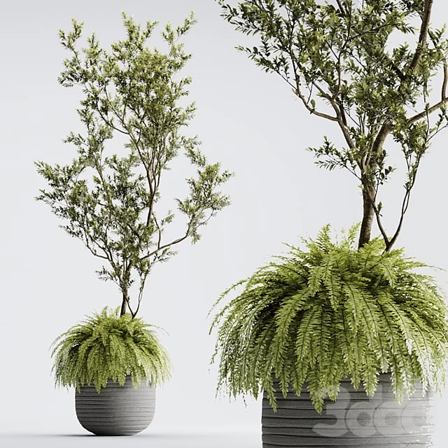 Internal Plant 01 - ORGANIKA
