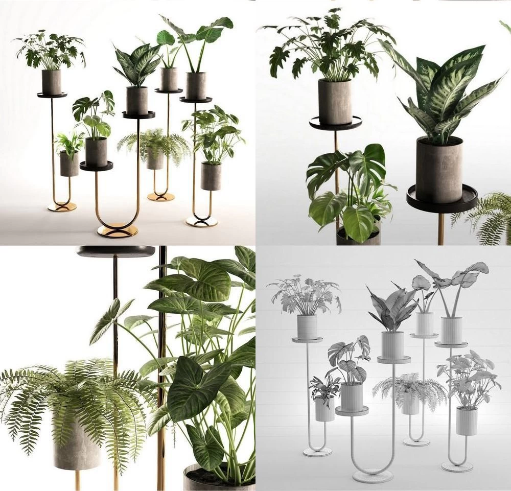 Cigales+Plant+Stands+MAXC1 gold plants plant gul flower green ondoor Paparatnik