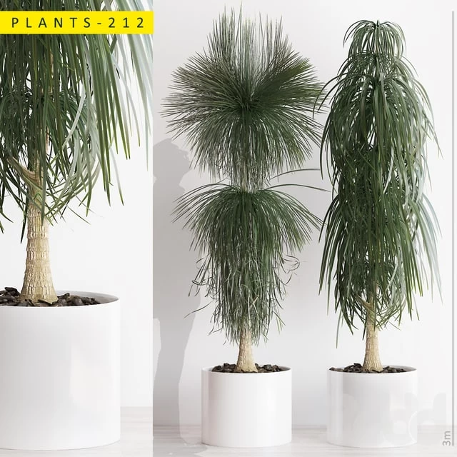 Plants 212