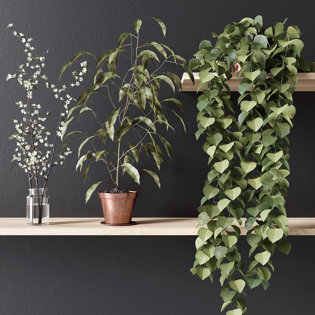 Collection-of-plants-89-3d-Models