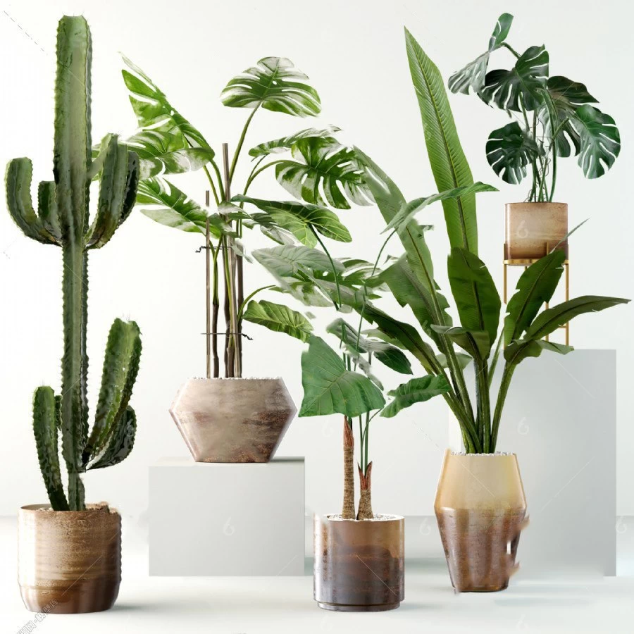 Collection-of-plants-88-3d-Models