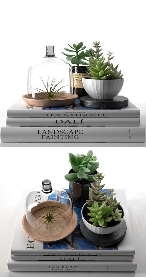 Books with Succulents and Air
