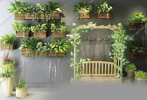 Plants-Collection-26