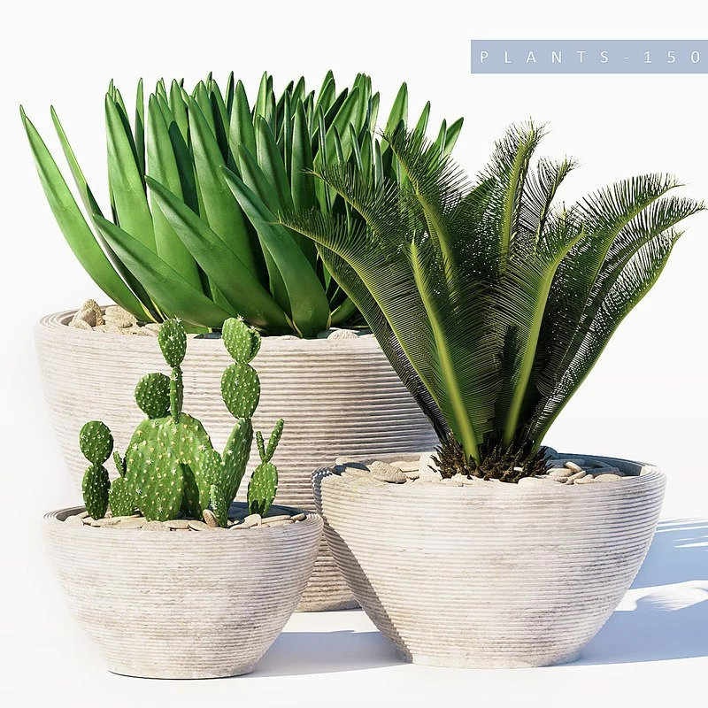 PLANTS 150