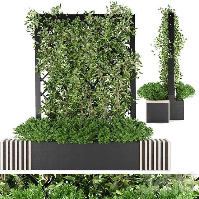 Collection plant vol 16 #