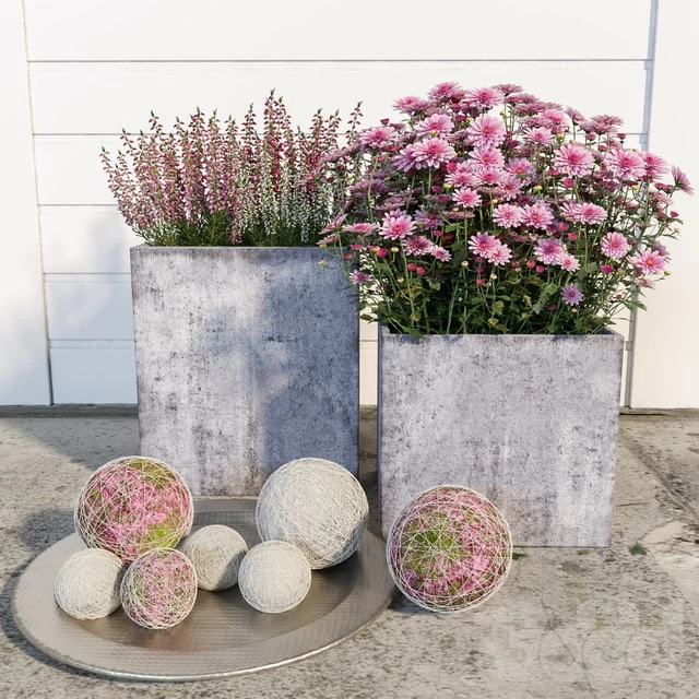 Street Flowers