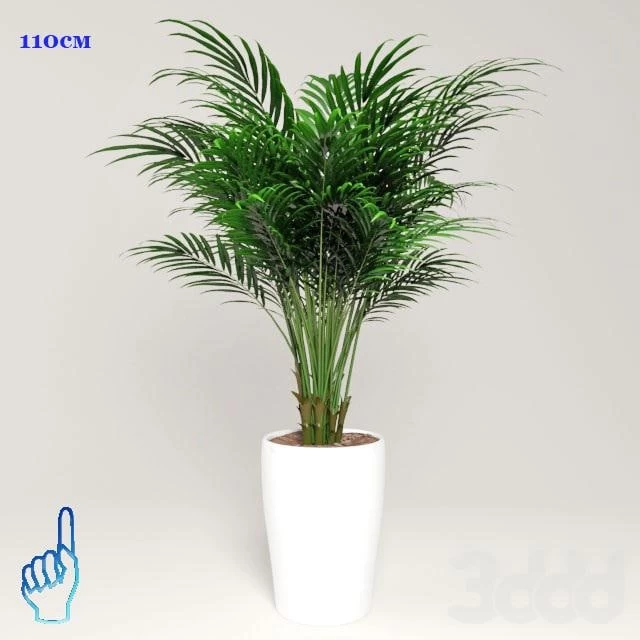Plants (16)
