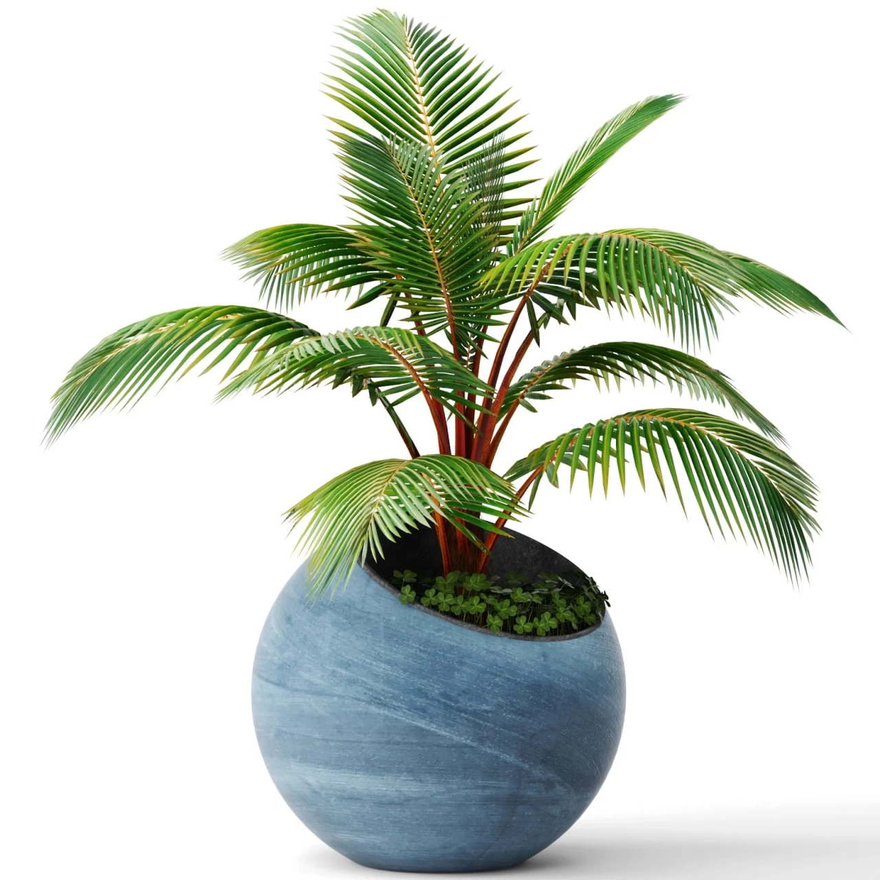 Plants (88)