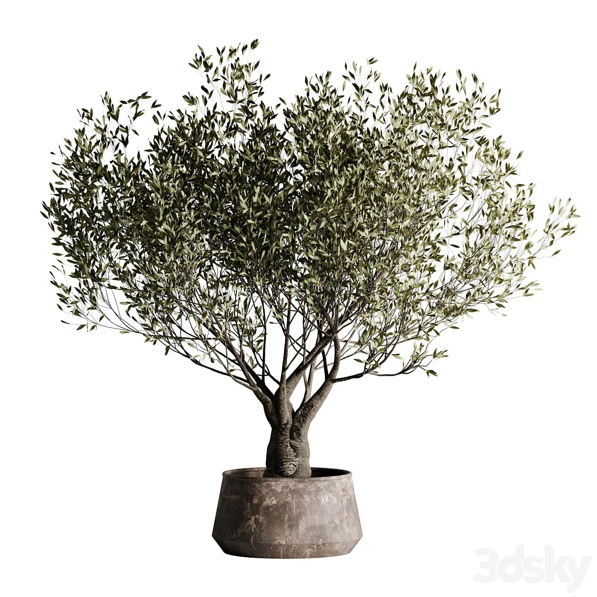 indoor plant set 09