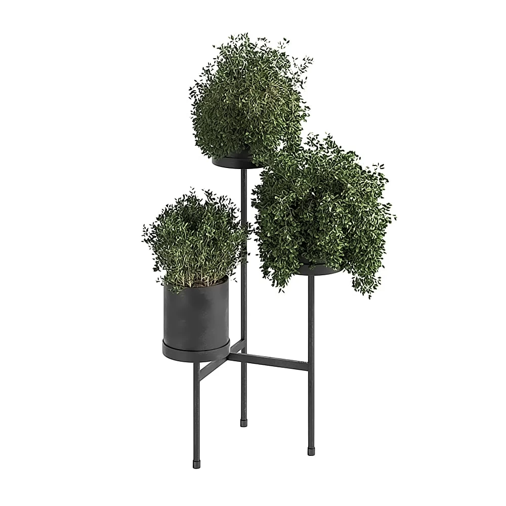 Indoor Plant Set 03