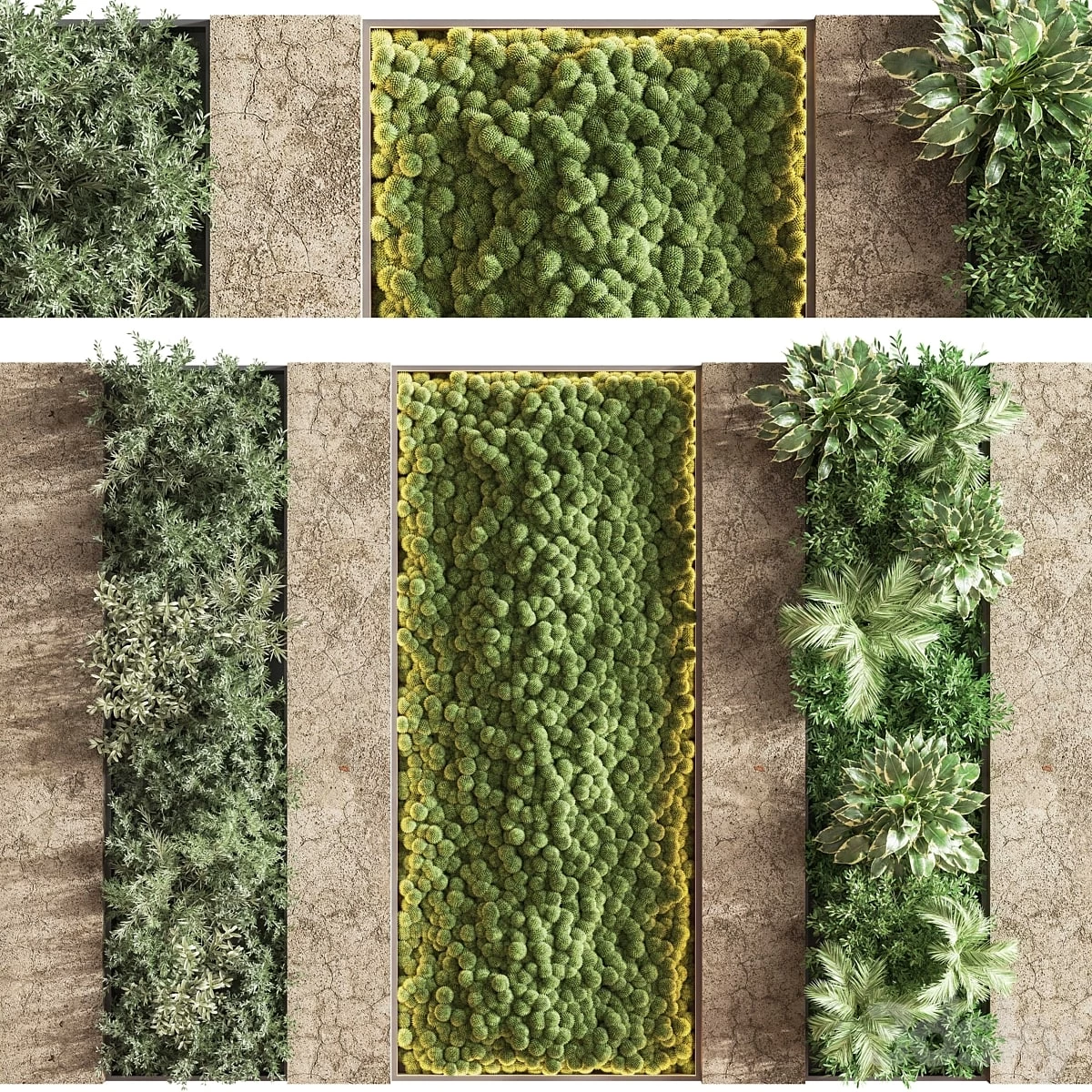 Concrete and Vertical Garden 02
