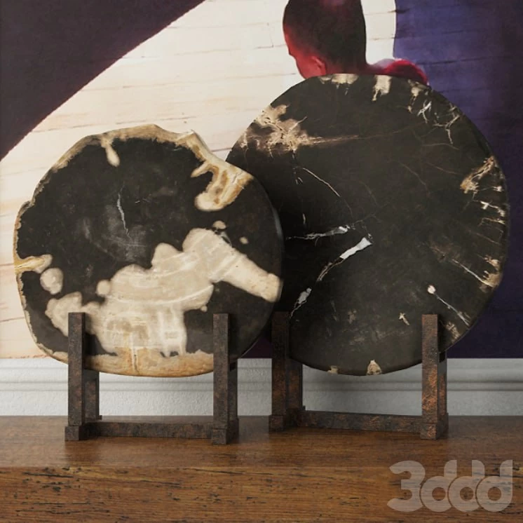 Black Petrified Wood Slices