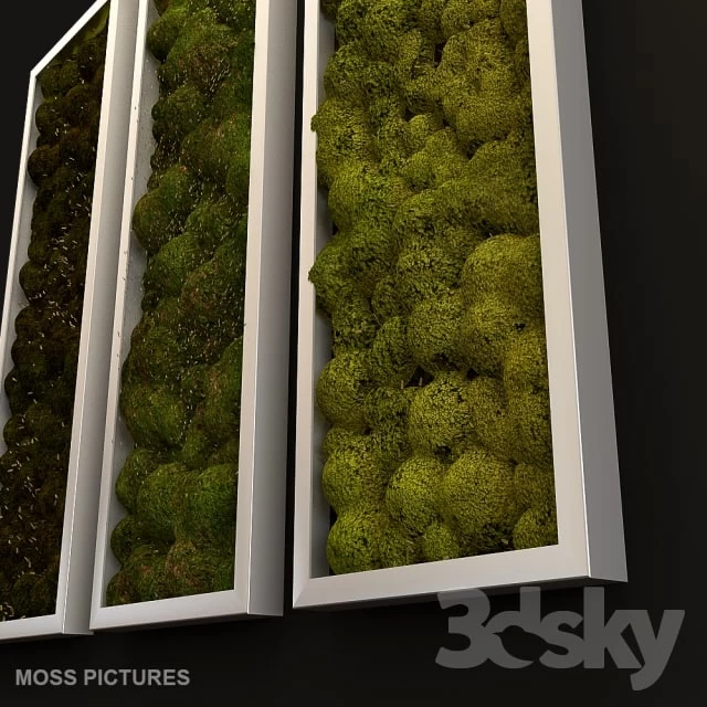 Moss pictures