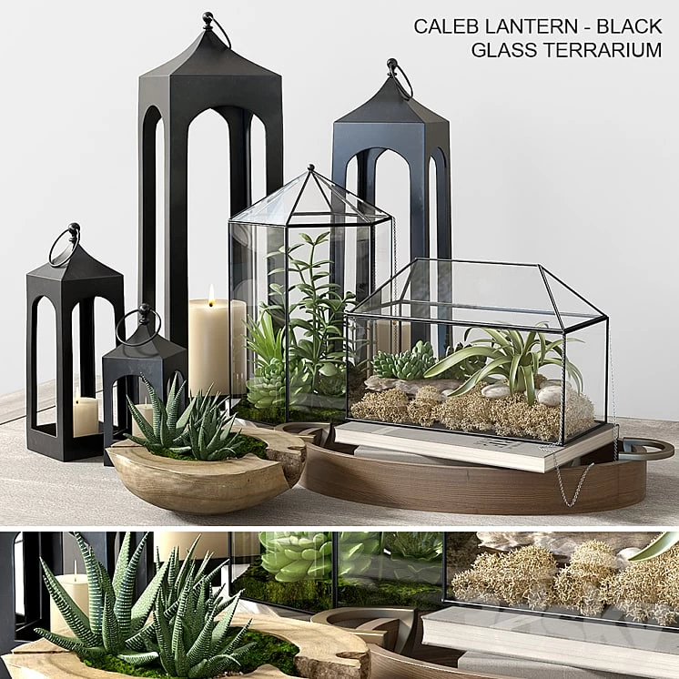 Pottery barn GLASS TERRARIUM