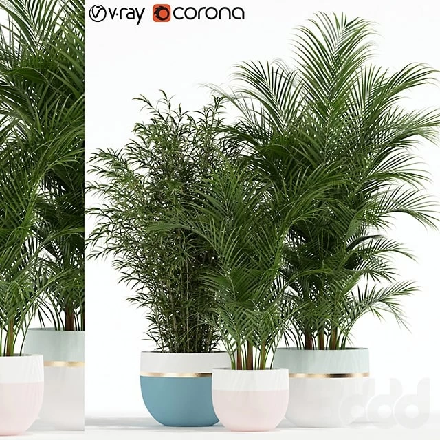 Plants collection 136