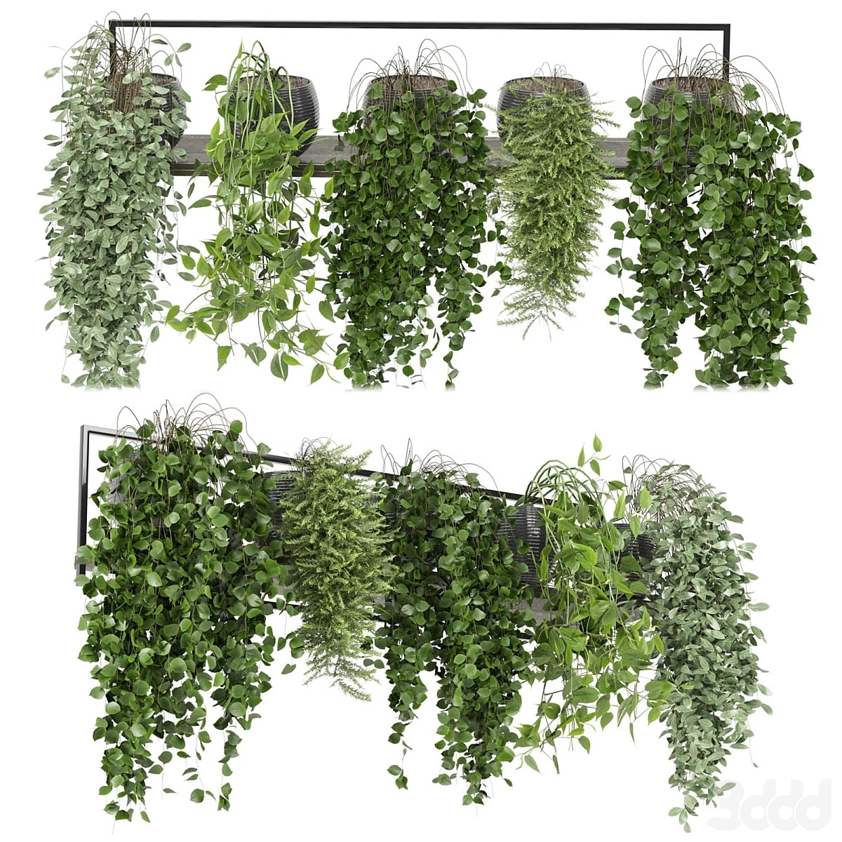 indoor plants in rusty concrete pot on metal shelf - Set 0088