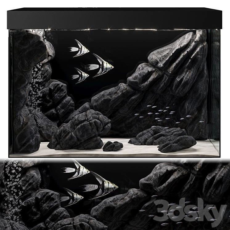 Aquarium