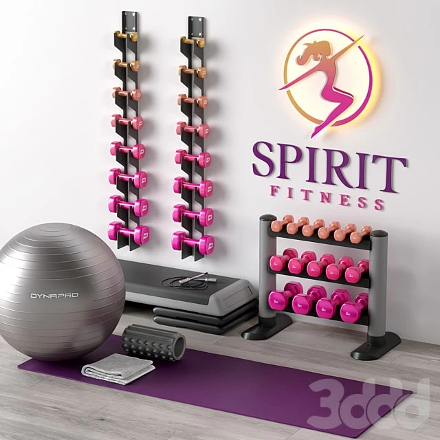 Excellent set for a fitness room. Sport equipment. Set