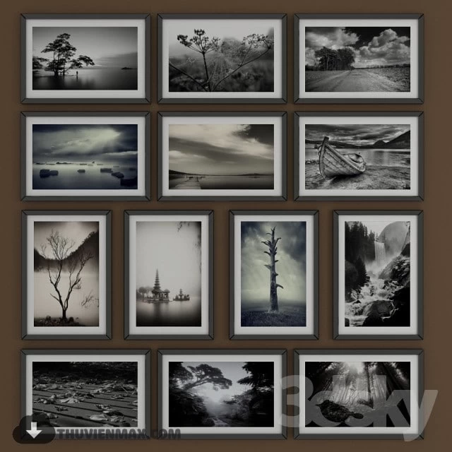 Black and white pictures of Nature