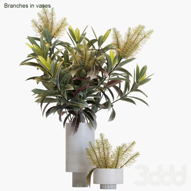 Branches in vases