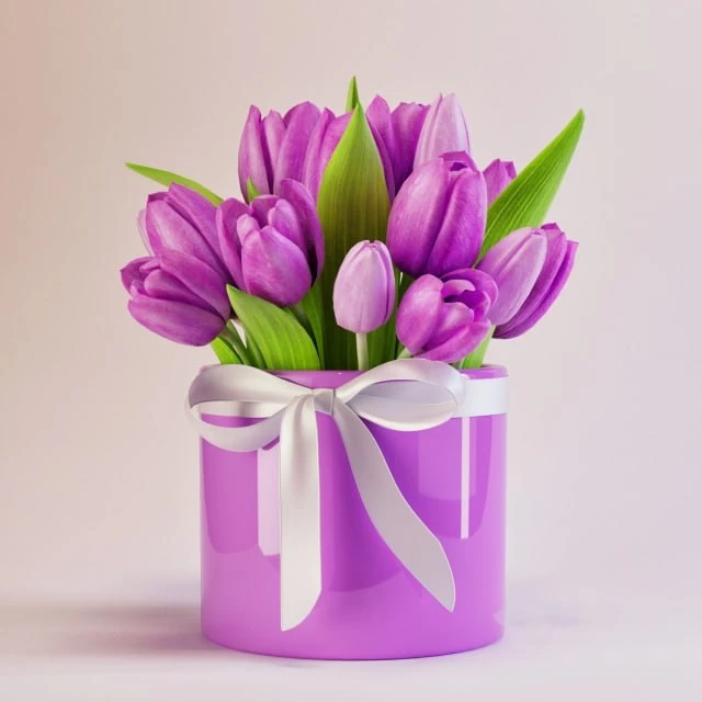 Tulips