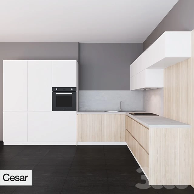 Cesar Maxima zahvat hook