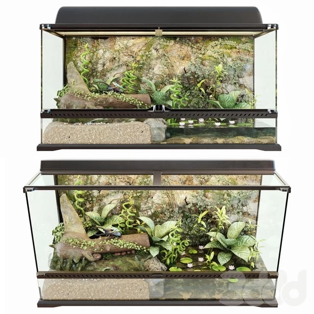 Terrarium