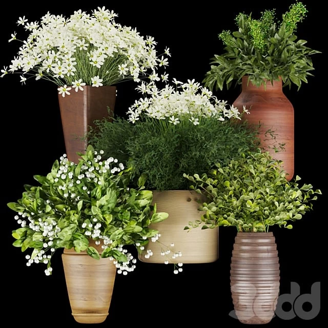 Collection plant vol 262 - Bouquet - flower