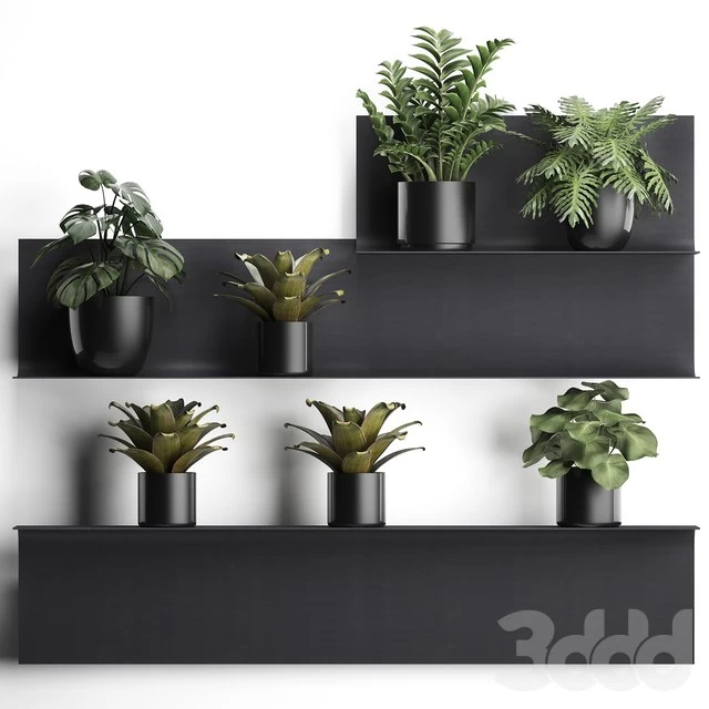 Vertical gardening. 49 Black metal shelf, shelf with flowers, loft, monstera, Zamioculcas, Chlorophytum, Philodendron, bromeliad, bromelia