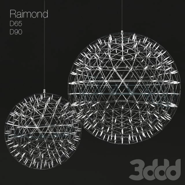 Raimond D90_D65