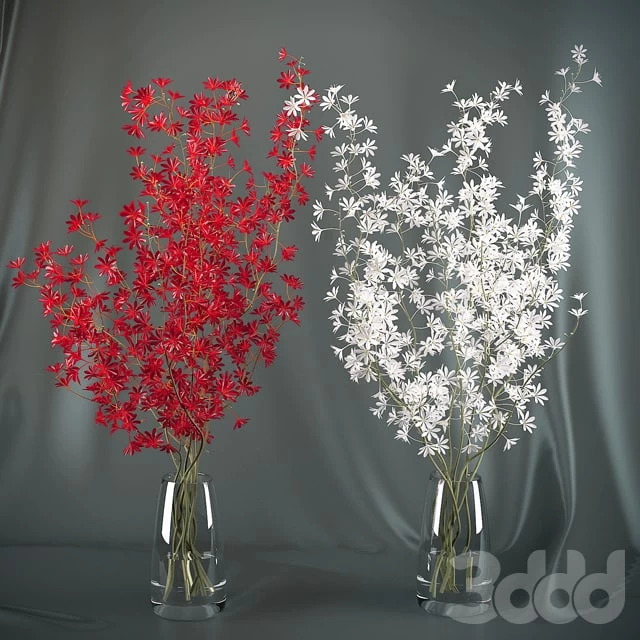 Dendrobium Orchid flowers (red / white)