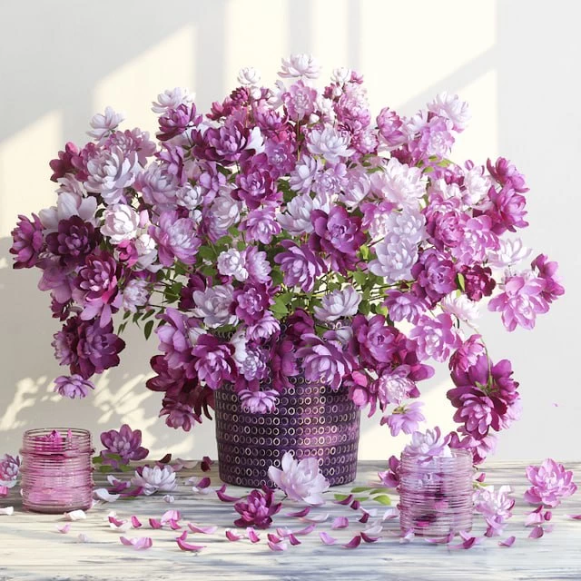 Miniature Roses