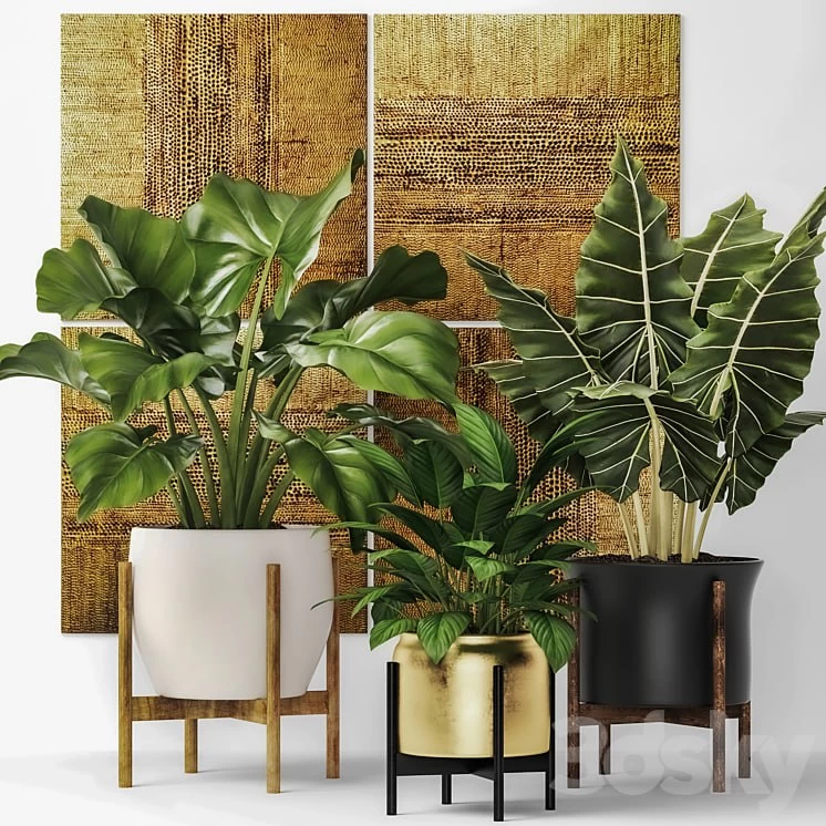 Collection of plants in pots 7. Flower, pot, bush, flowerpot, interior, indoor, alocasia, luxury, gold, paintings, abstraction, luxury