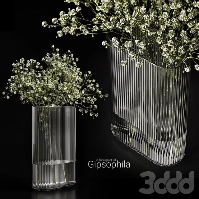 A bouquet of gypsophila