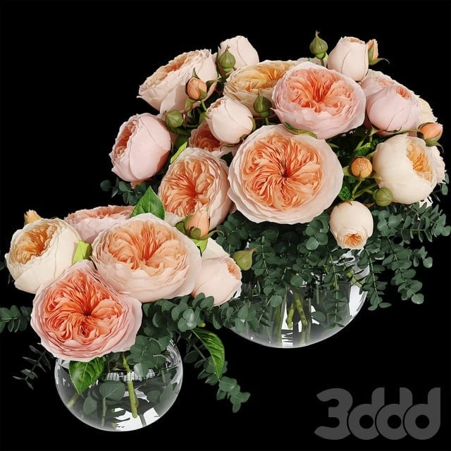 Rosa Juliet