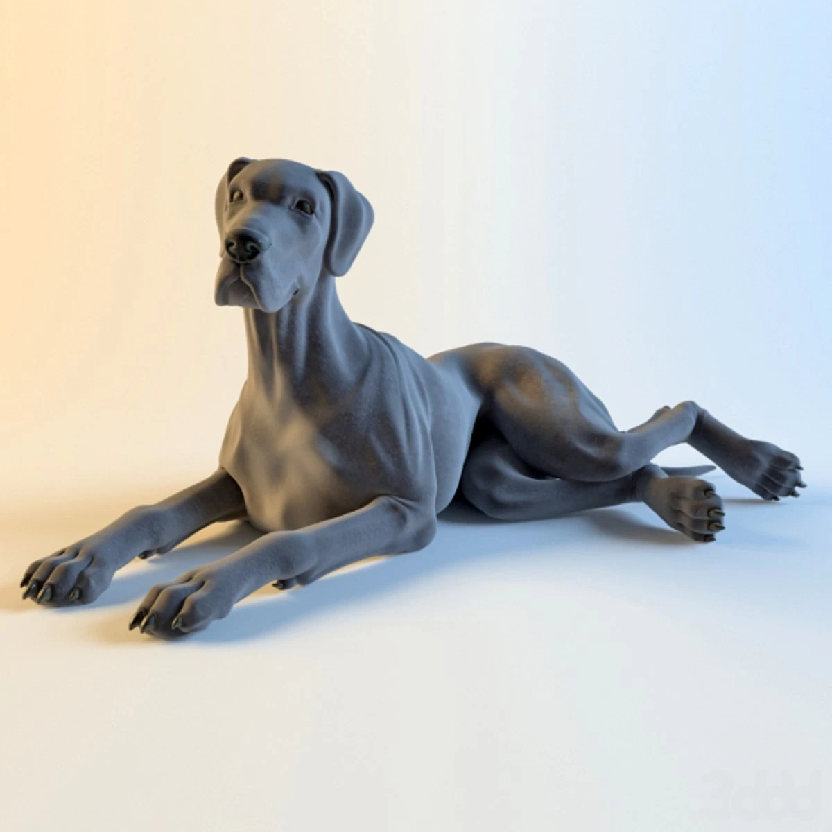 German dog
